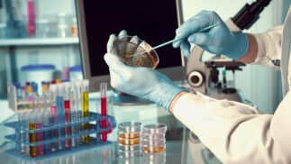 Scientist working with tools and specimens in a high tech lab.