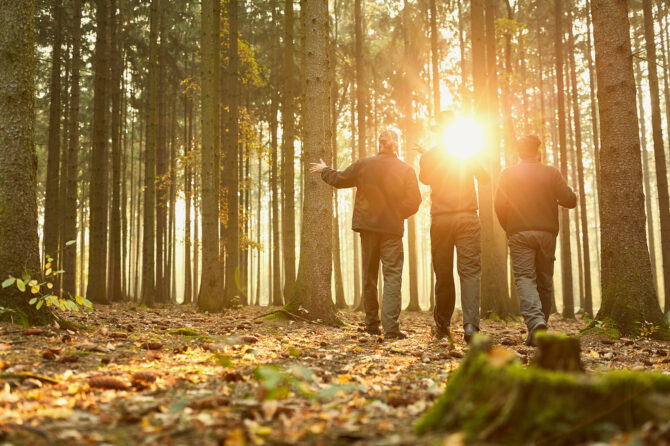 Three people standing in a forest discussing the ecosystem.