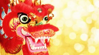 Close up of Chinese dragon.