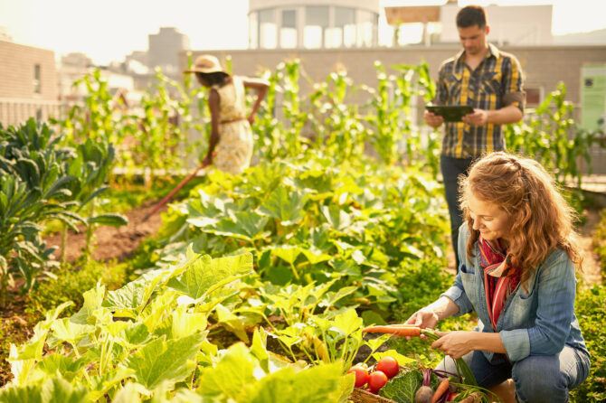 People examining produce and farming in an urban environment.