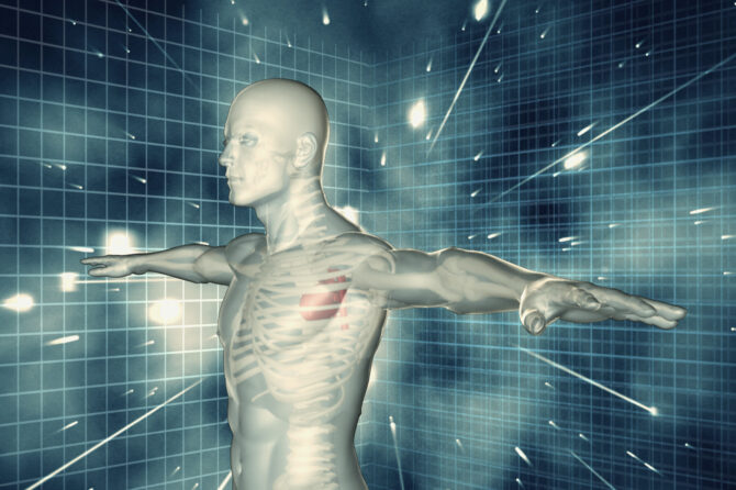 Computer-generated transparent human male showing skeleton and heard against a grid background.