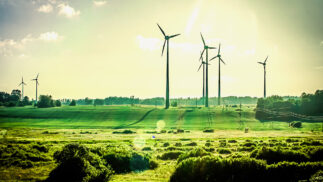 Field of wind turbines generating sustainable electricity.