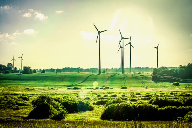 Field of wind turbines generating sustainable electricity.