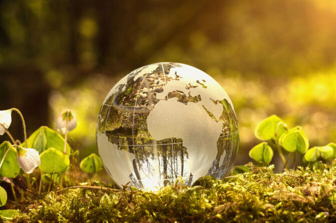 glass globe of earth resting on a forest floor.